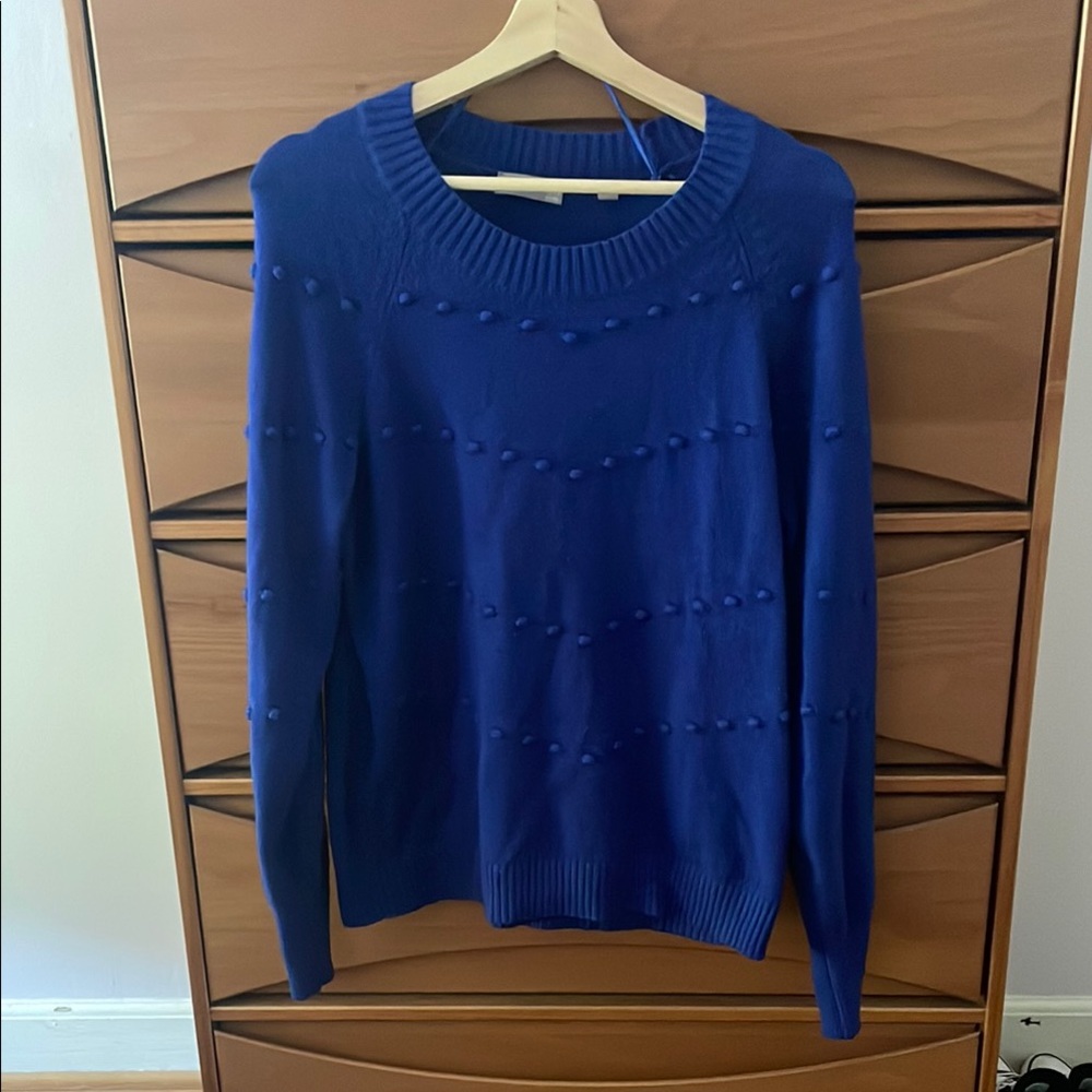 LOFT Sweater
